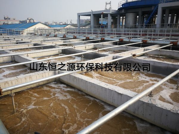 微信圖片_20191120080813.jpg